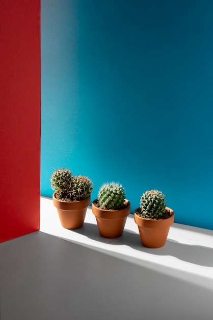Choosing colours that maximise natural light in a room