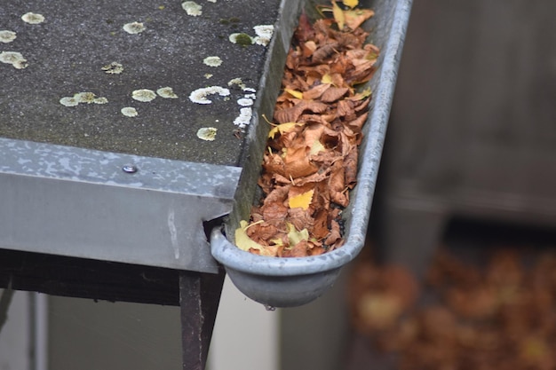 Best practices for cleaning gutters in the UK