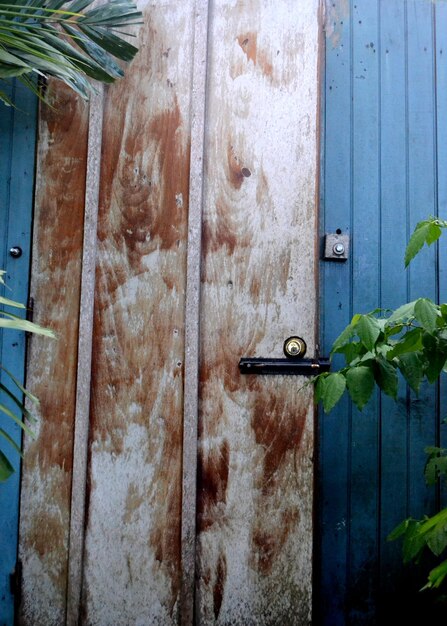 How to maintain wooden doors in humid climates
