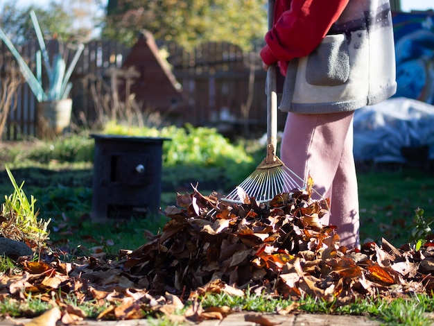 Preparing your garden for changing seasons