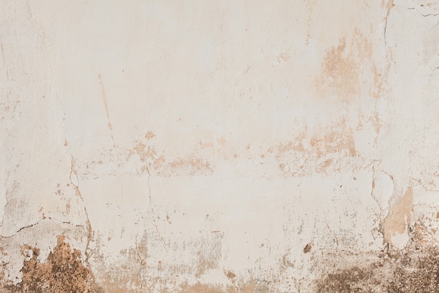 Signs that your home’s paintwork needs refreshing