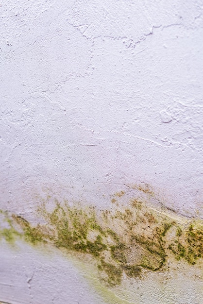 Common causes of damp in homes