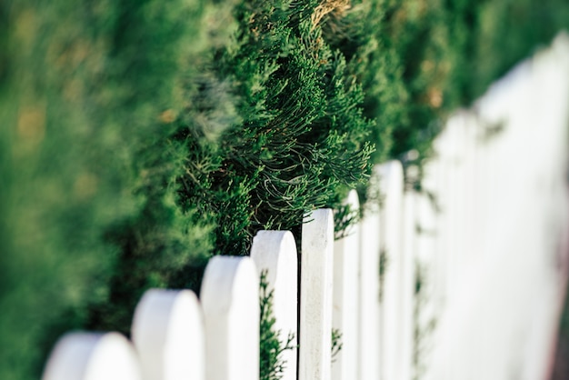 Building custom garden fences for privacy and style