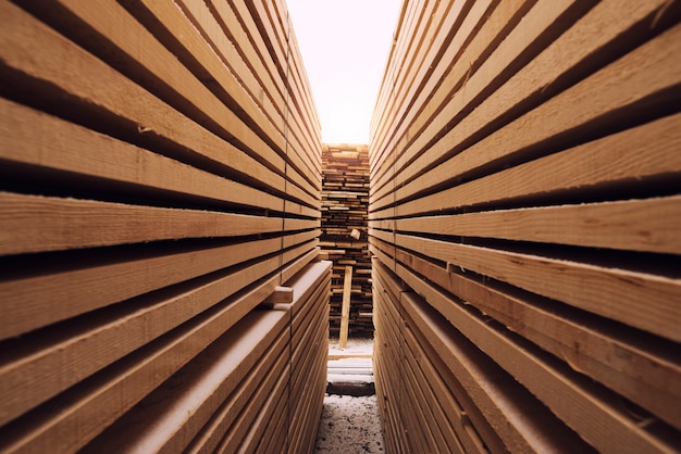 Differences between softwood and hardwood